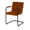 Scaun catifea GRI | model FLOR